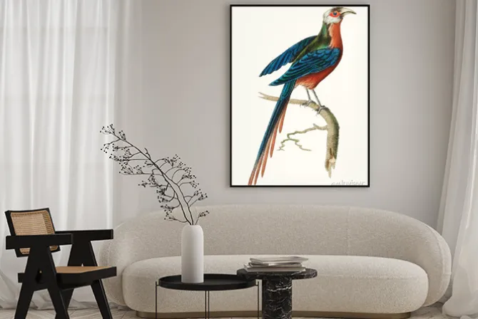 Plakat: Ręcznie rysowane z kukułką zakrzywione krzywej