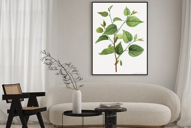 Plakat: Red mulberry branch