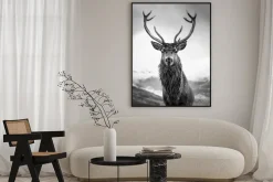 Plakat: Renifer z porożem