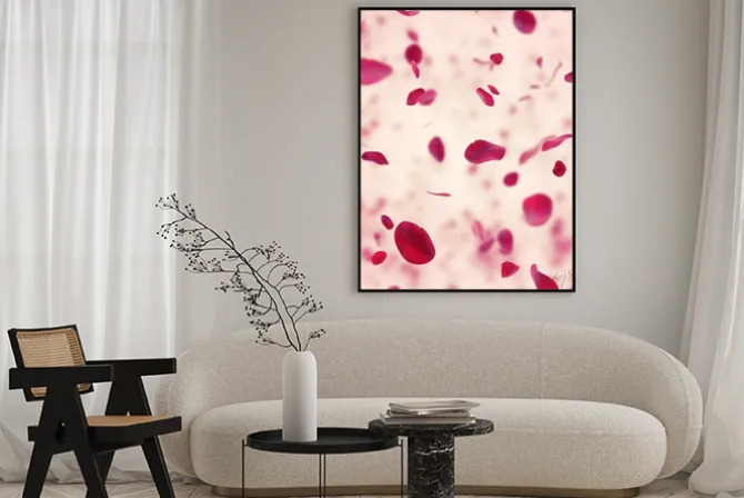 Plakat: Rocznica z czerwonych płatków róż spada