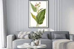 Plakat: Roślina na rysunku retro