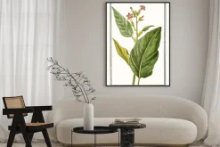 Plakat: Roślina na rysunku retro