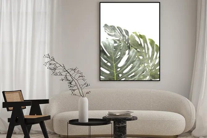 Plakat: Roślinna kompozycja z zielonych liści monstery na białym tle