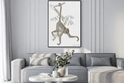 Plakat: Rycina przedstawiająca małpę na gałęzi