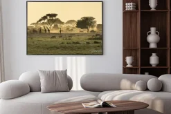 Plakat: Sawanna o wschodzie słońca