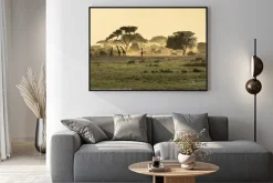 Plakat: Sawanna o wschodzie słońca