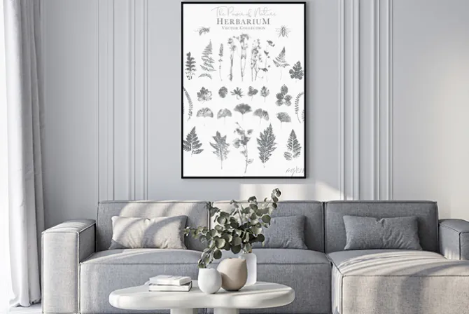Plakat: Set of dried herbs and natural plants and bees - herbarium logo
