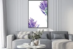 Plakat: Set of lavender flowers elements on an isolated white background,