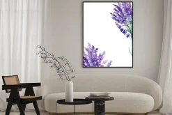 Plakat: Set of lavender flowers elements on an isolated white background,