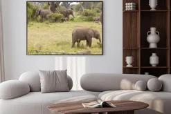 Plakat: Słoń rodzina w kenii