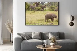 Plakat: Słoń rodzina w kenii