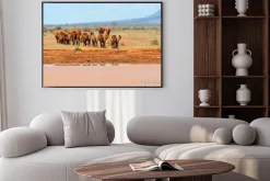 Plakat: Słoń w parku narodowego kenii