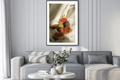 Plakat: Soczyste dojrzałe figi na białym tle w świetle słonecznym