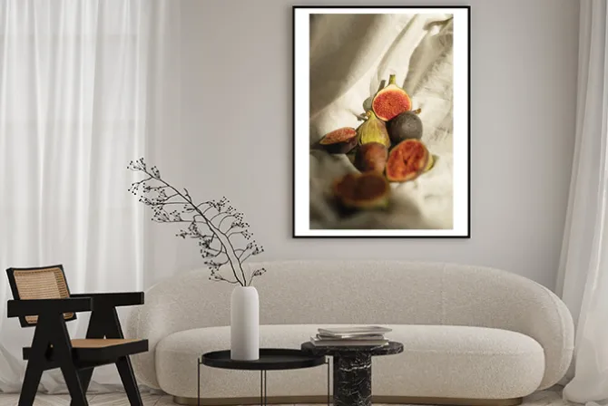 Plakat: Soczyste dojrzałe figi na białym tle w świetle słonecznym