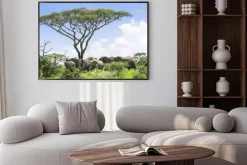 Plakat: Słoniątka dogania swojego stada słoni stojących pod akacji na