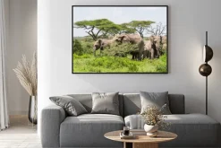 Plakat: Stado słoni stojących wśród drzew akacji na krajobraz serengeti