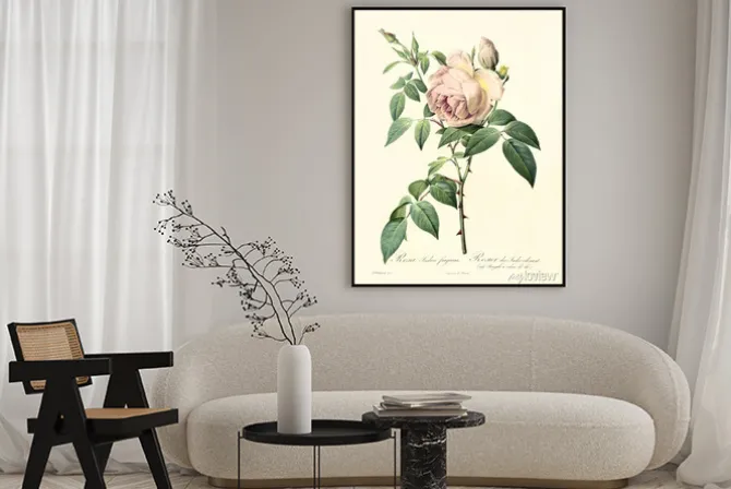 Plakat: Stara rycina z gałązką róży