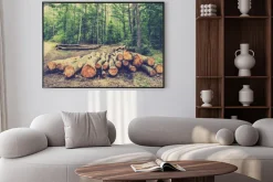 Plakat: Stos drewna w lesie przy drodze, archiwalne zdjęcia.