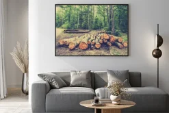 Plakat: Stos drewna w lesie przy drodze, archiwalne zdjęcia.