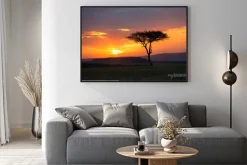 Plakat: Sunset in the serengeti national park, tanzania, africa