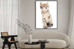 Plakat: Szary kotek odtwarzane.