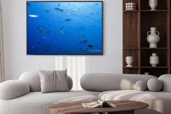 Plakat: Szary rekina gotowy do ataku podwodne