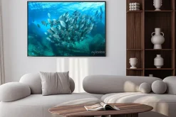 Plakat: Szkoła ryby na podwodne rafy koralowej w morzu oceanu