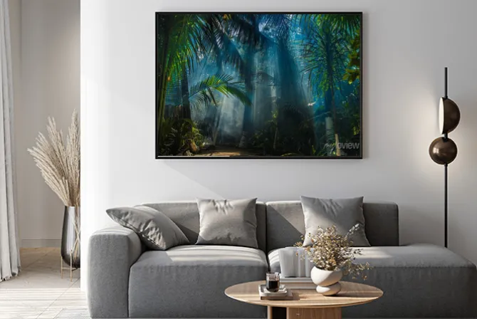 Plakat: Tropikalna dżungla o poranku