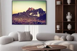 Plakat: Vintage kwiecista łąka