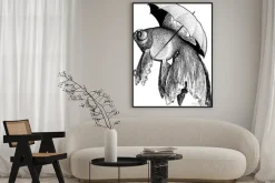 Plakat: Vintage obraz rybki ryby