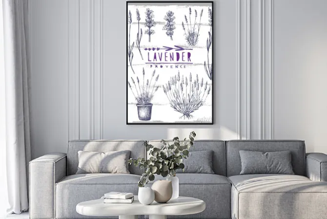 Plakat: Wektor zestaw lawendy