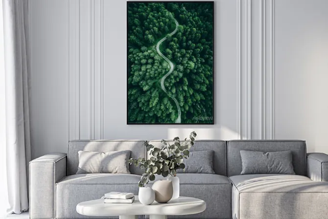 Plakat: Widok z lotu ptaka na drogę wśród las