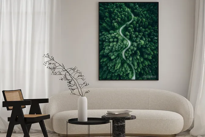 Plakat: Widok z lotu ptaka na drogę wśród las