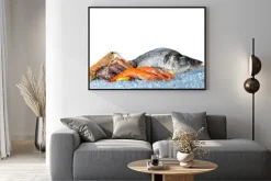 Plakat: Świeże owoce na białym tle