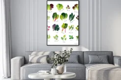 Plakat: Wspólne liściaste warzywa, takie jak sałata, endywija kędzierzawa,