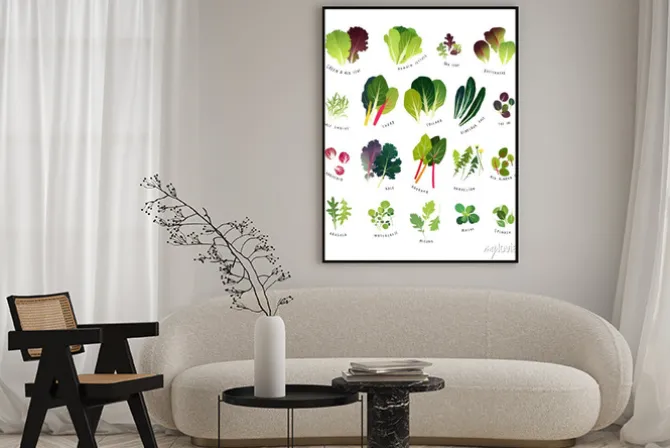 Plakat: Wspólne liściaste warzywa, takie jak sałata, endywija kędzierzawa,