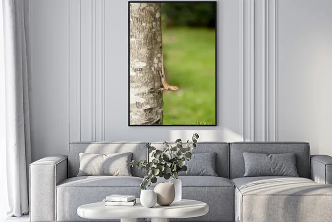 Plakat: Wymienne jaszczurki na pniu drzewa