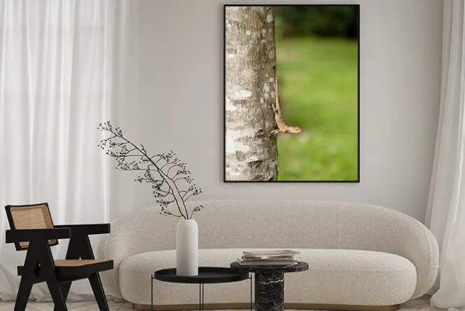 Plakat: Wymienne jaszczurki na pniu drzewa