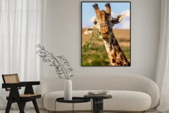 Plakat: Żyrafa jedzenia