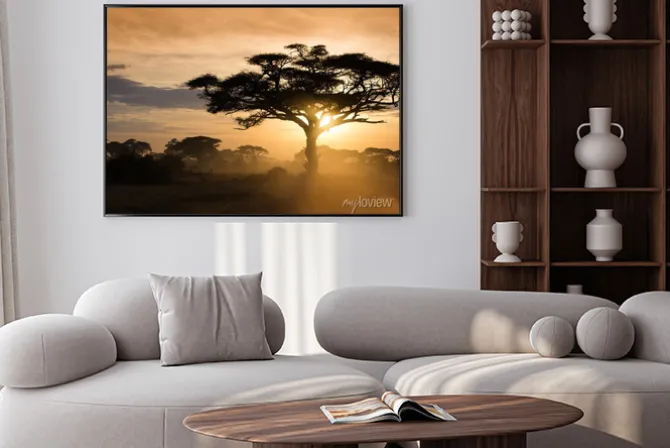 Plakat: Zachód słońca na afrykańskiej sawannie