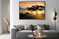 Plakat: Zachód słońca na afrykańskiej sawannie