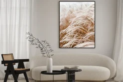 Plakat: Zbliżenie na delikatne trawy ozdobne