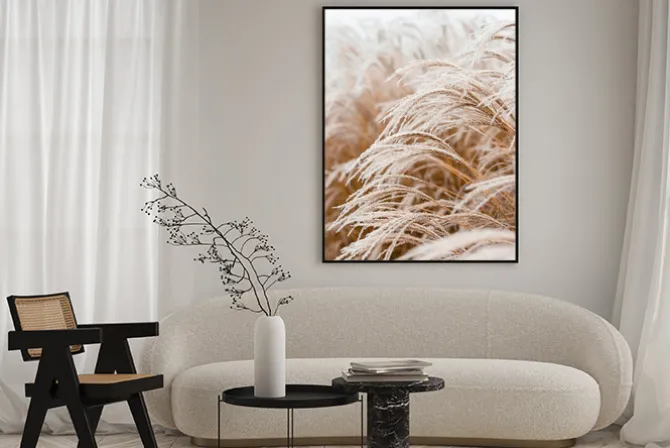 Plakat: Zbliżenie na delikatne trawy ozdobne