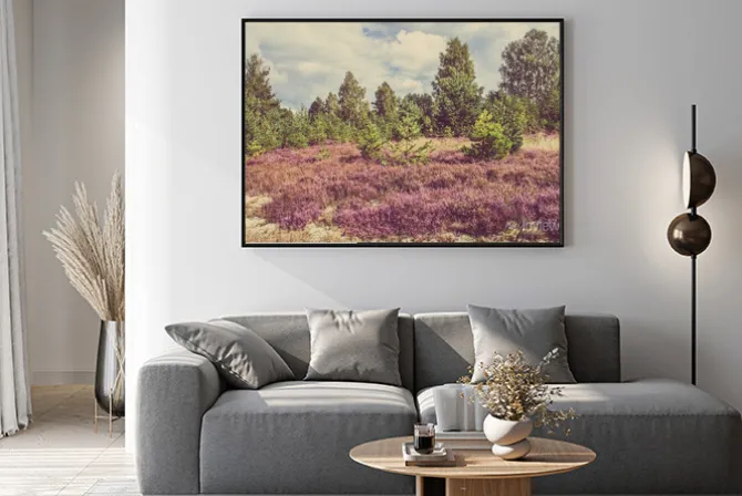 Plakat: Zdjęcia archiwalne wrzosu w lesie, na wsi krajobrazu.