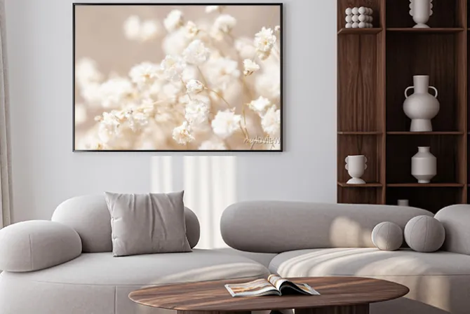 Plakat: Zdjęcie makro kwiatów gipsówki