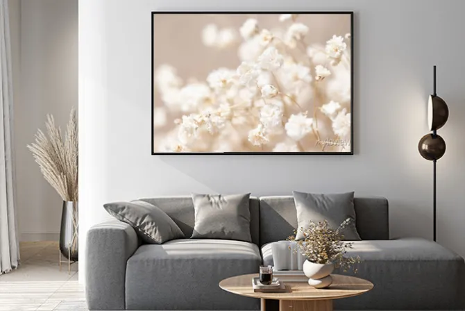 Plakat: Zdjęcie makro kwiatów gipsówki