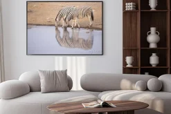 Plakat: Zebra picia z otworem wody