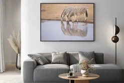 Plakat: Zebra picia z otworem wody