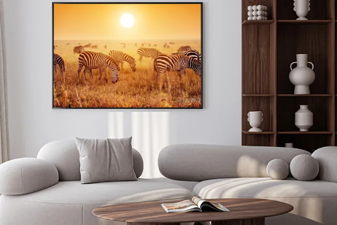 Plakat: Zebry stado na afrykańskiej sawanny o zachodzie słońca.