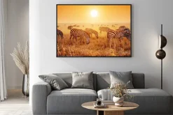 Plakat: Zebry stado na afrykańskiej sawanny o zachodzie słońca.